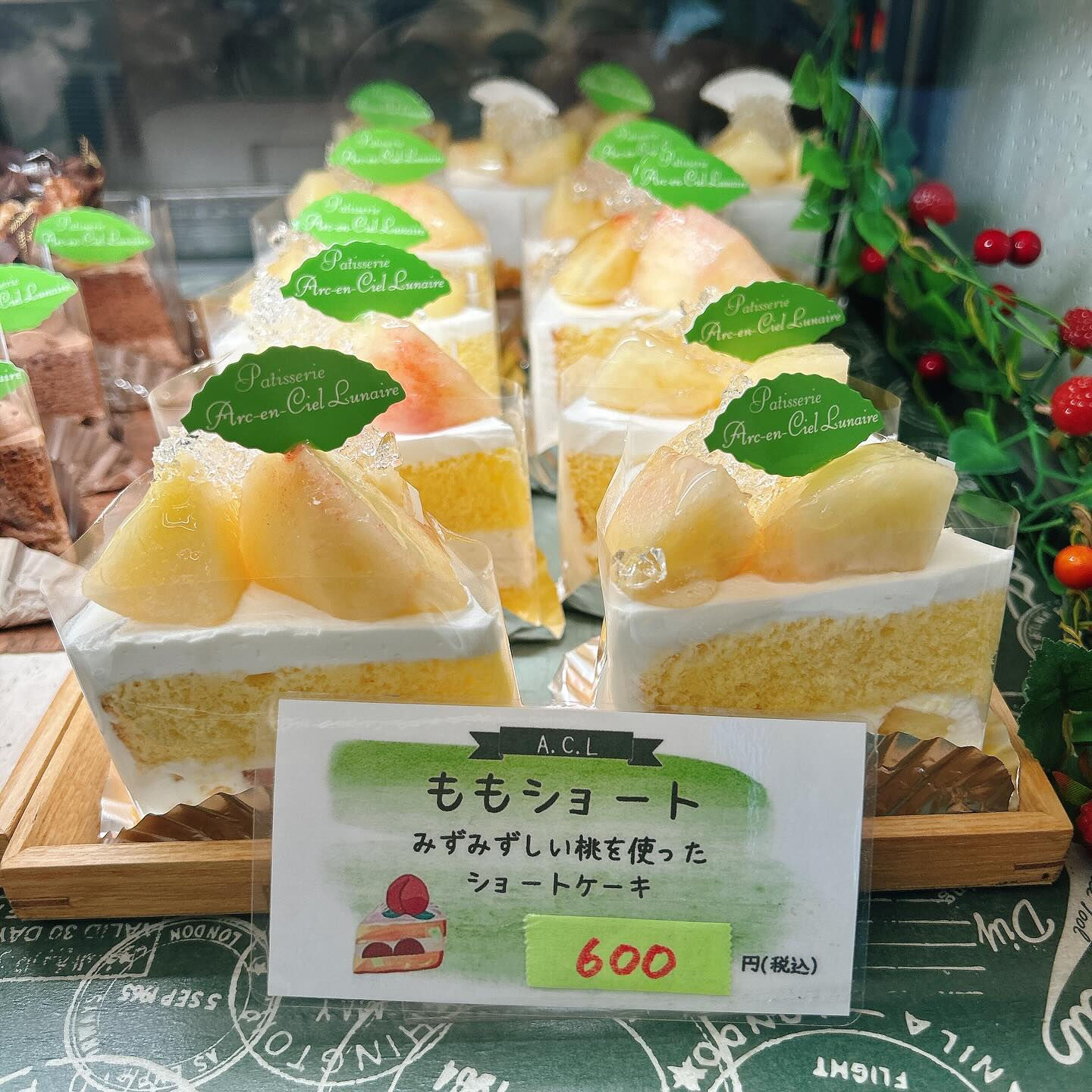 🌙本日も桃次郎お休みします🙇‍♂️🌈