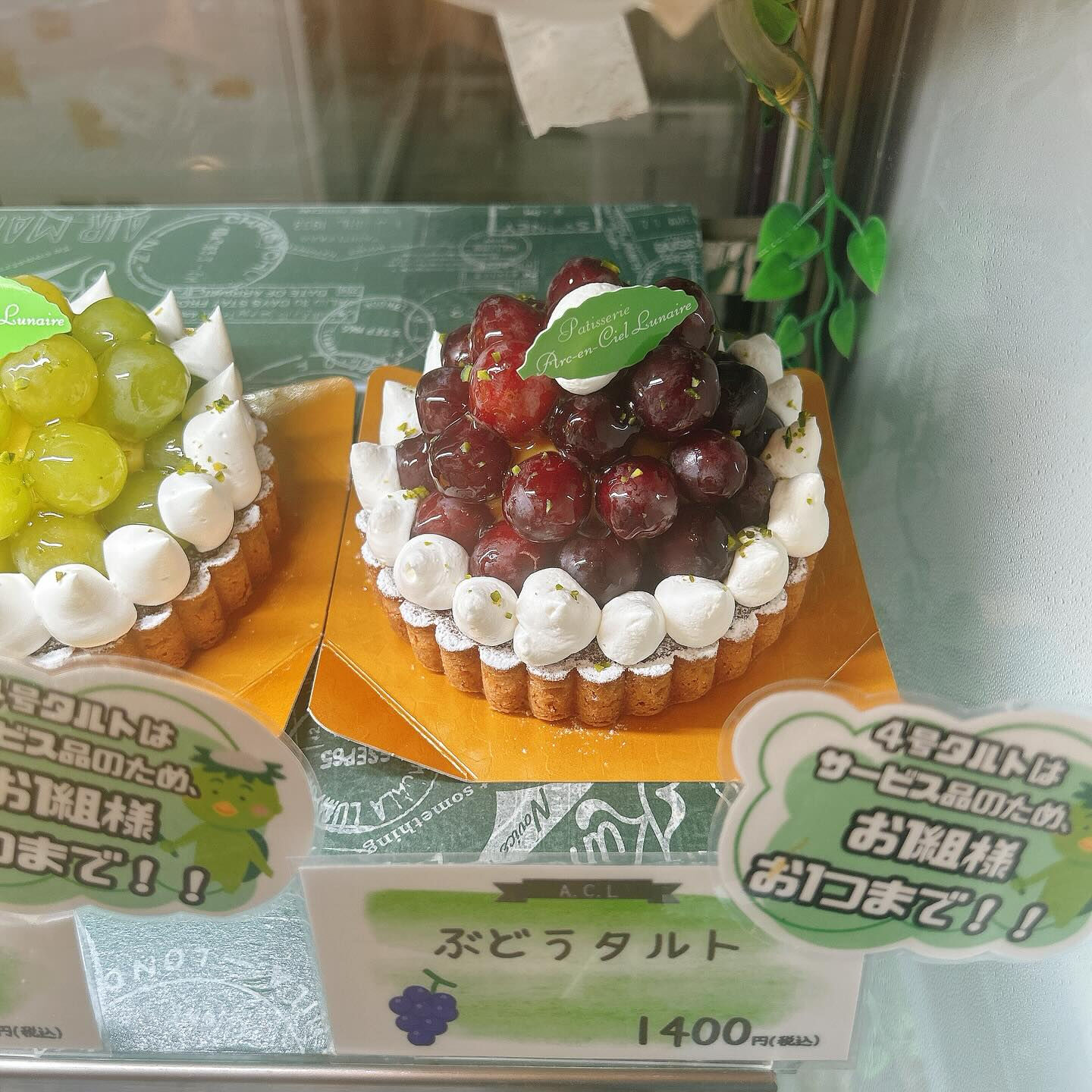 🌙本日桃次郎出します🌈