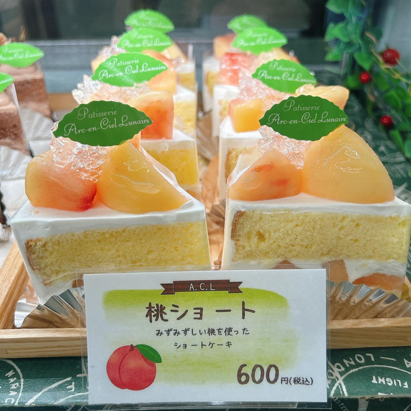 🌙本日レ・モーンセストン販売開始です🌈