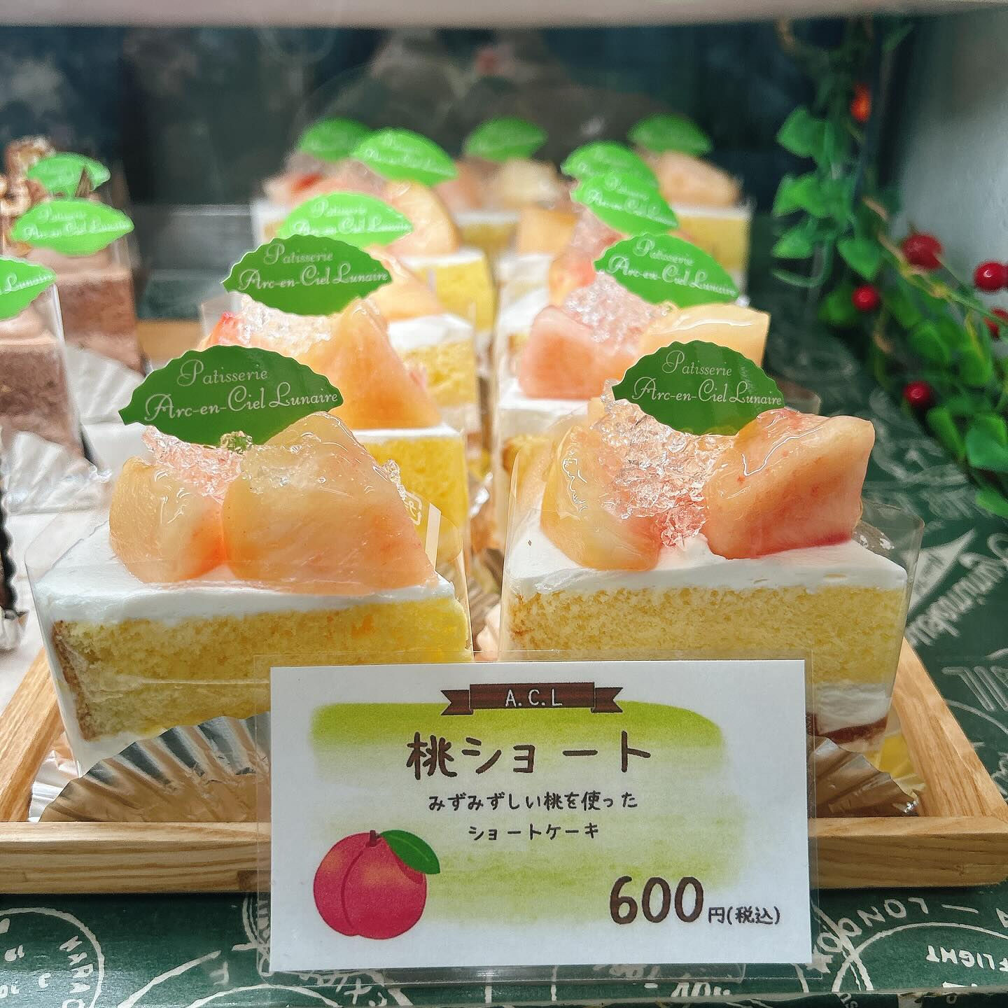 🌙本日レ・モーンセストン販売開始です🌈