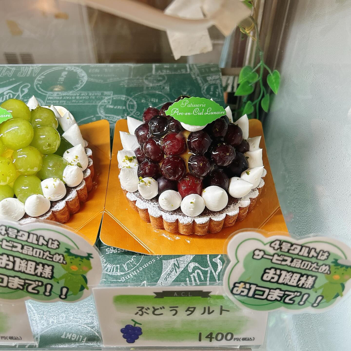 🌙本日は気まぐれいちじくタルト出してます🌈