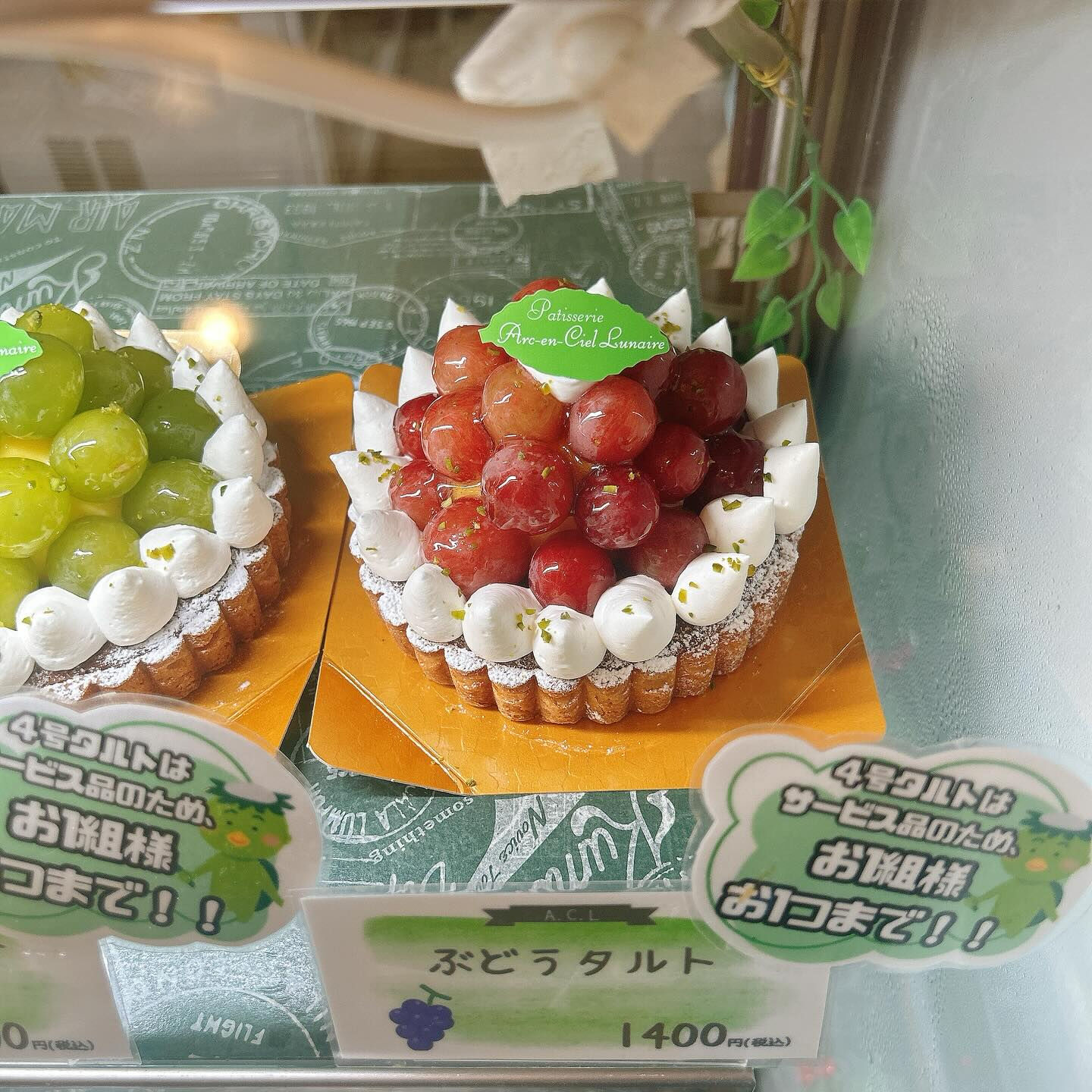 🌙ピックウェーバーRYO日曜日まで！🌈